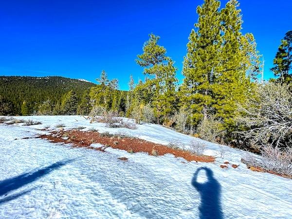 1 Acres for Sale in California Pines, California