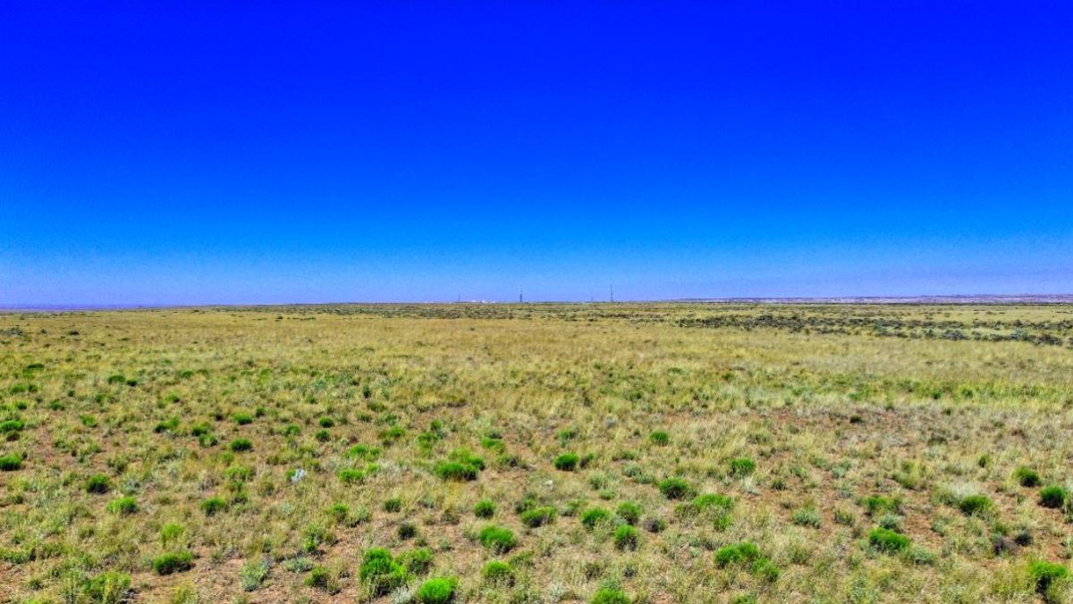 1.15 Acres for Sale in Adamana, Arizona