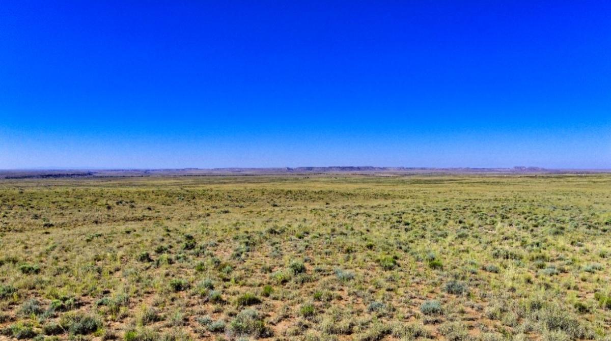 1.15 Acres for Sale in Adamana, Arizona