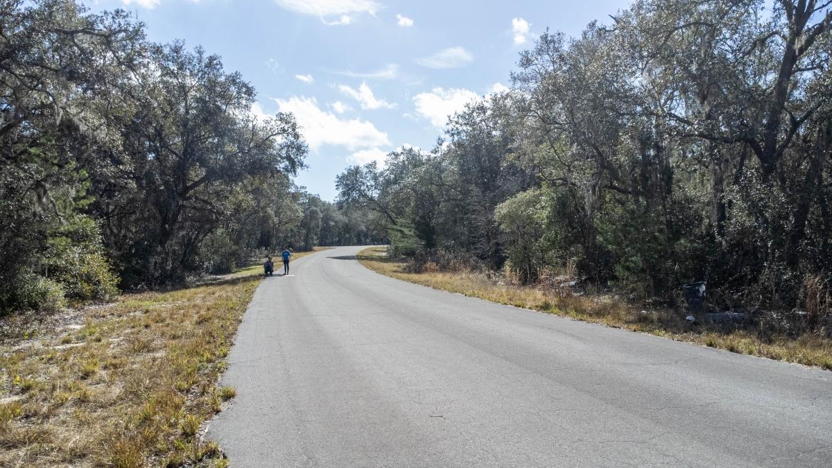 0.27 Acres for Sale in Ocklawaha, Florida