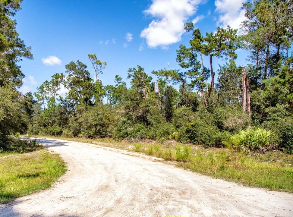 0.23 Acres for Sale in Interlachen, Florida