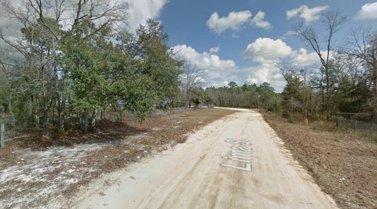 0.23 Acres for Sale in Interlachen, Florida