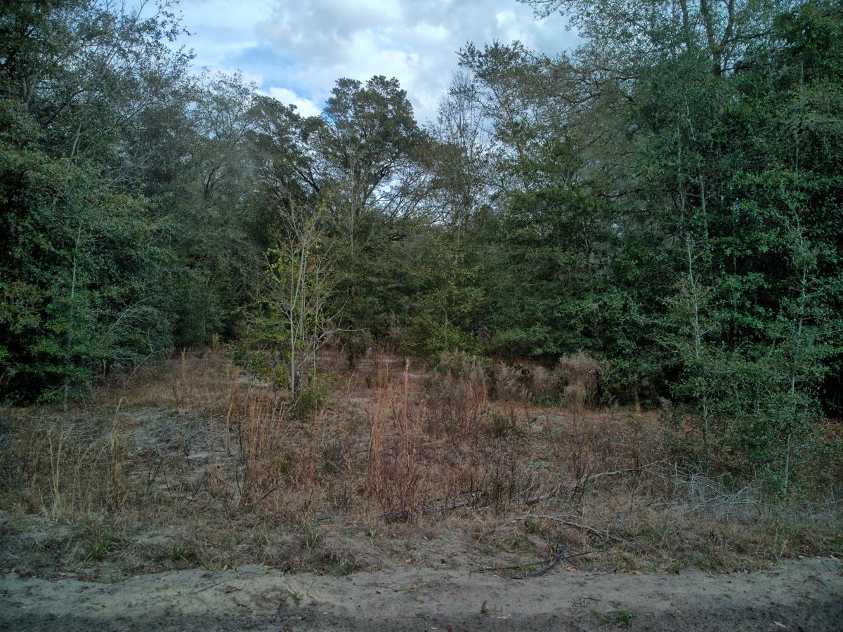 0.22 Acres for Sale in Interlachen, Florida