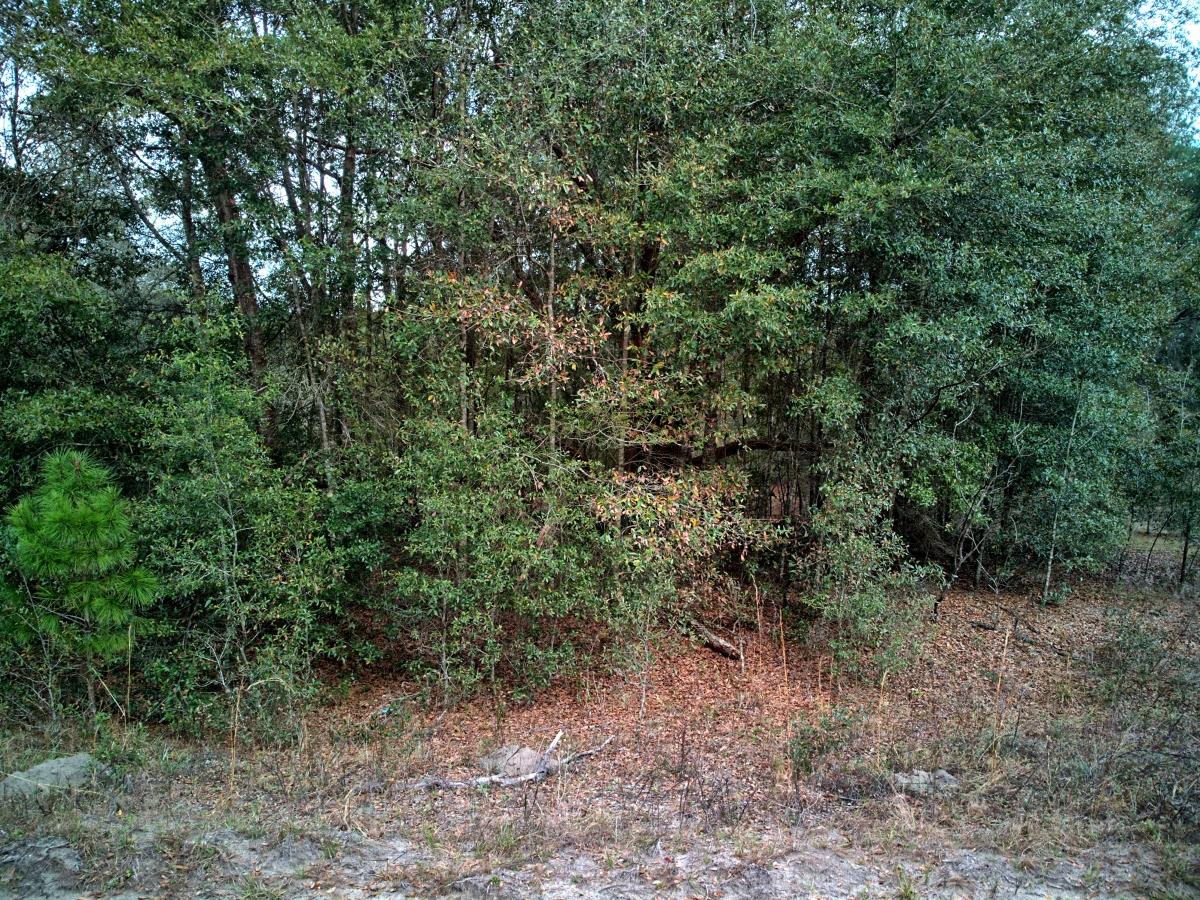 0.22 Acres for Sale in Interlachen, Florida