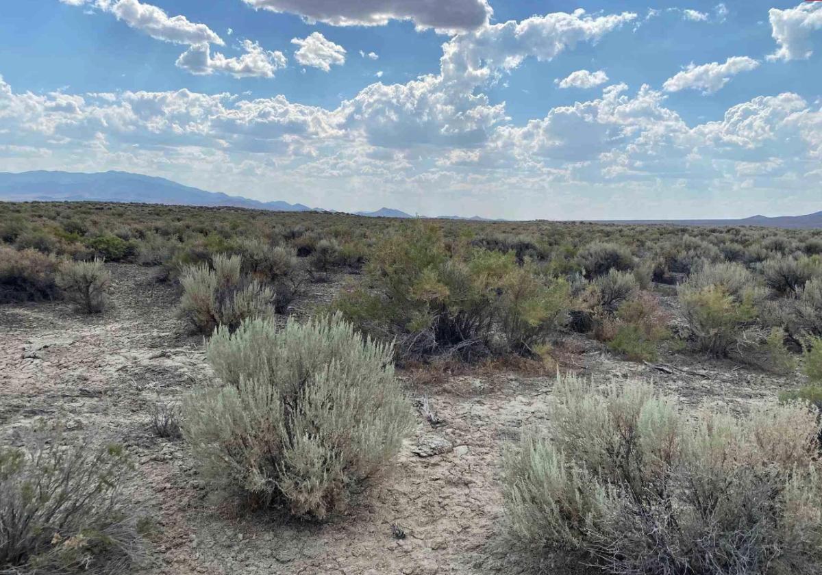 40.35 Acres for Sale in Pronto, Nevada