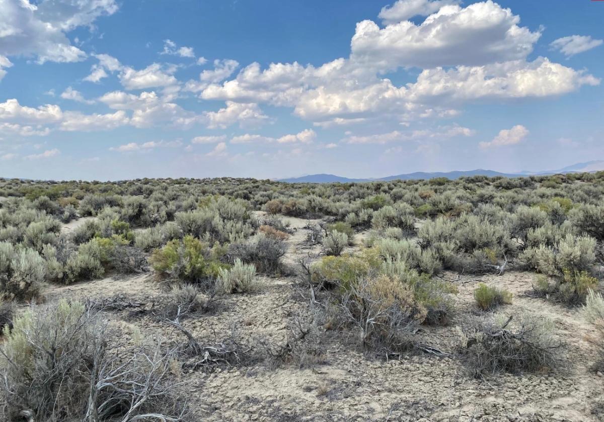 40.35 Acres for Sale in Pronto, Nevada
