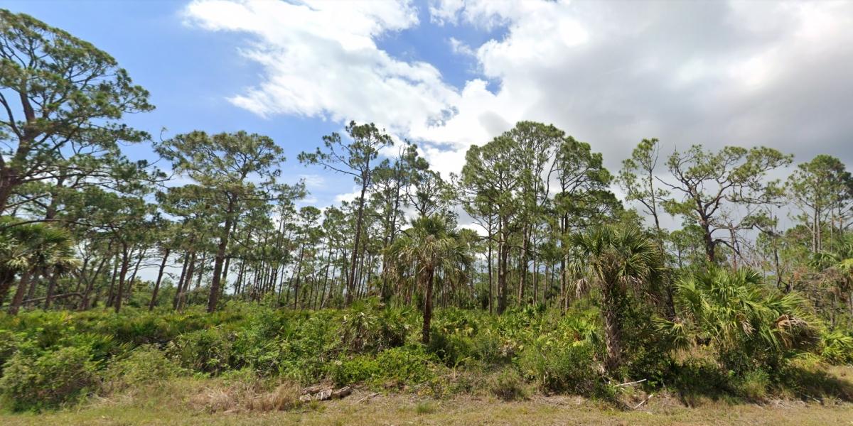 0.23 Acres for Sale in Port Charlotte, Florida