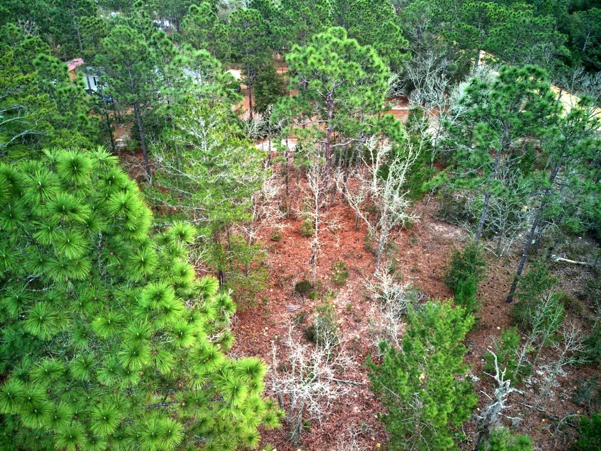 0.52 Acres for Sale in Interlachen, Florida