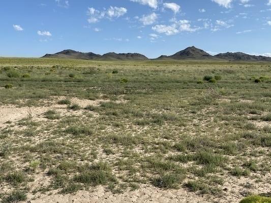4.5 Acres for Sale in San Luis, Colorado