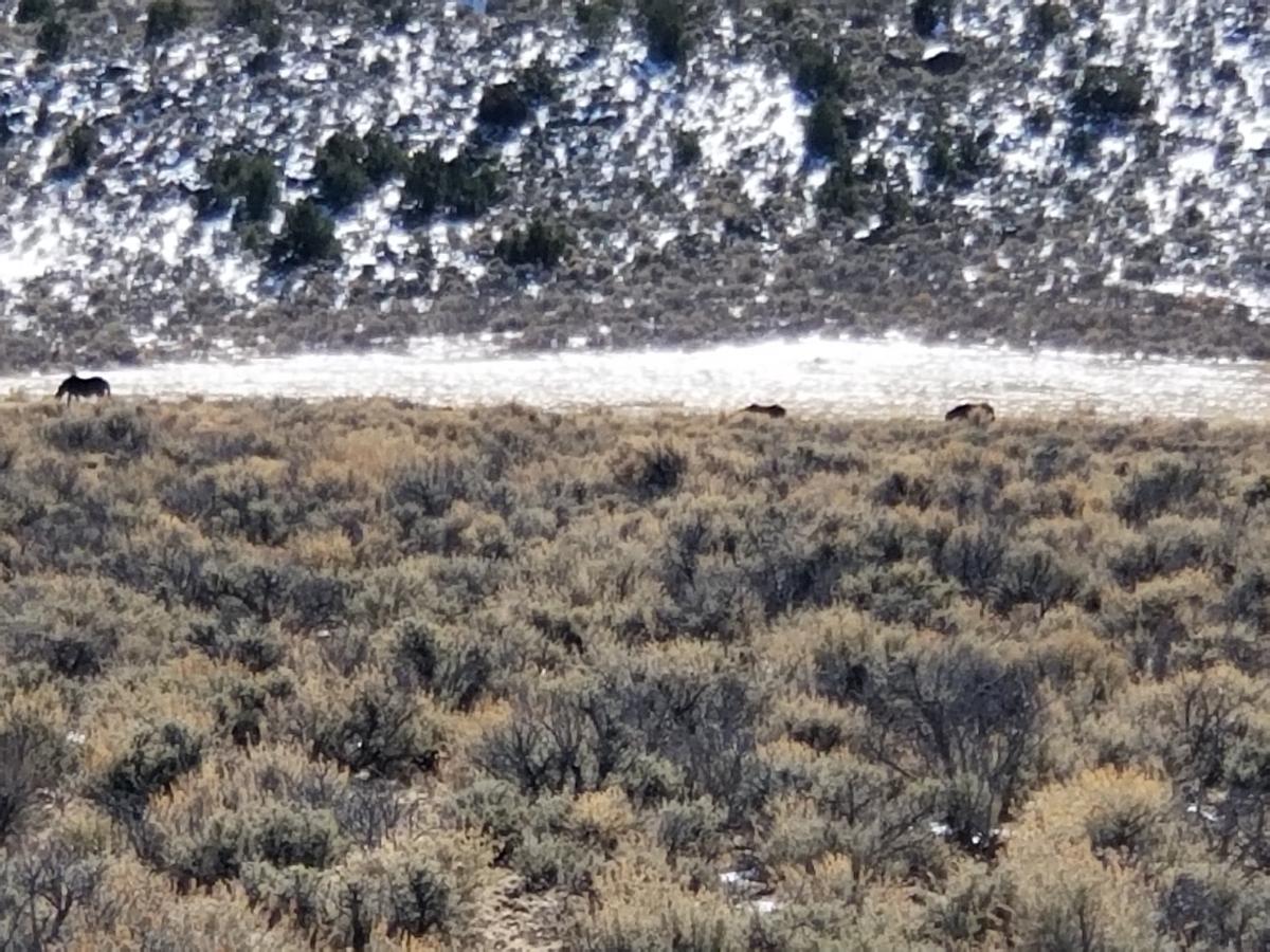 2.53 Acres for Sale in Mesita, Colorado