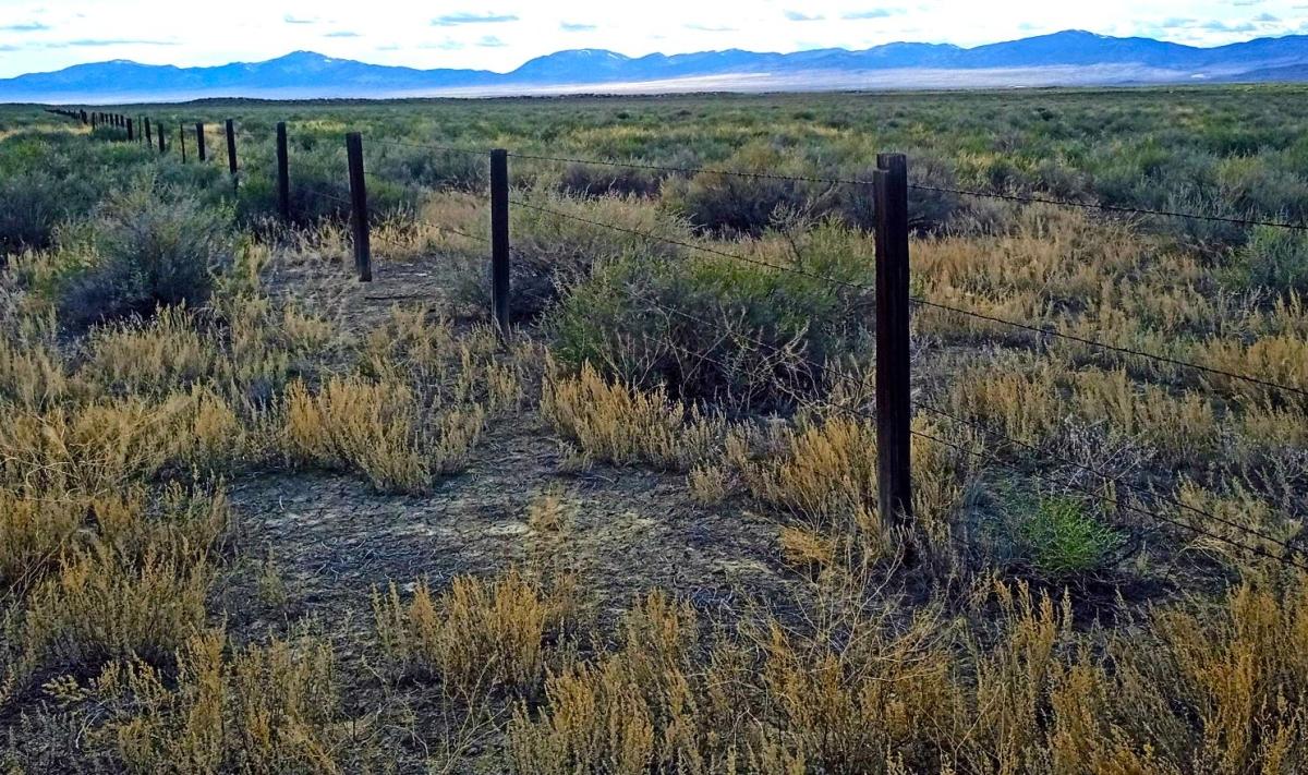 10 Acres for Sale in Nevada, Nevada
