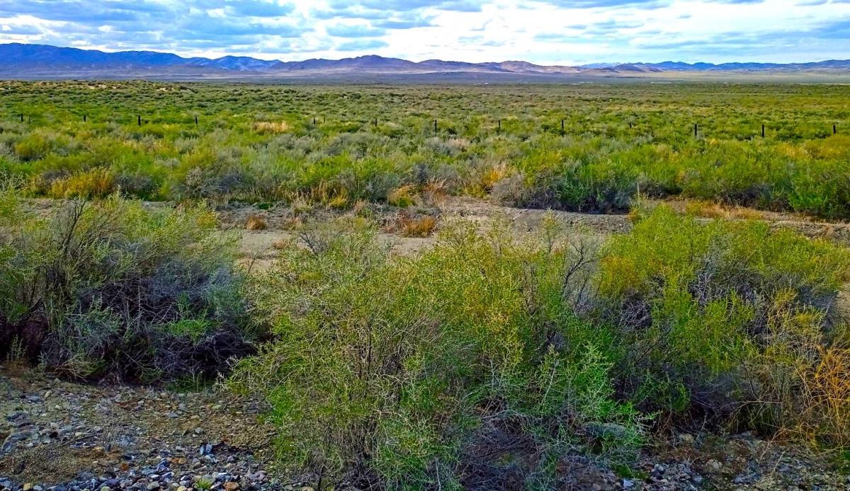 10 Acres for Sale in Nevada, Nevada