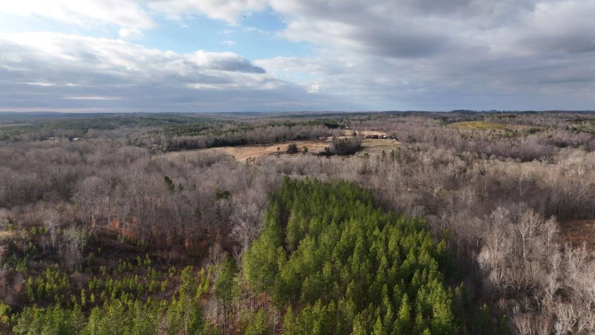 5.98 Acres for Sale in South Boston, Virginia