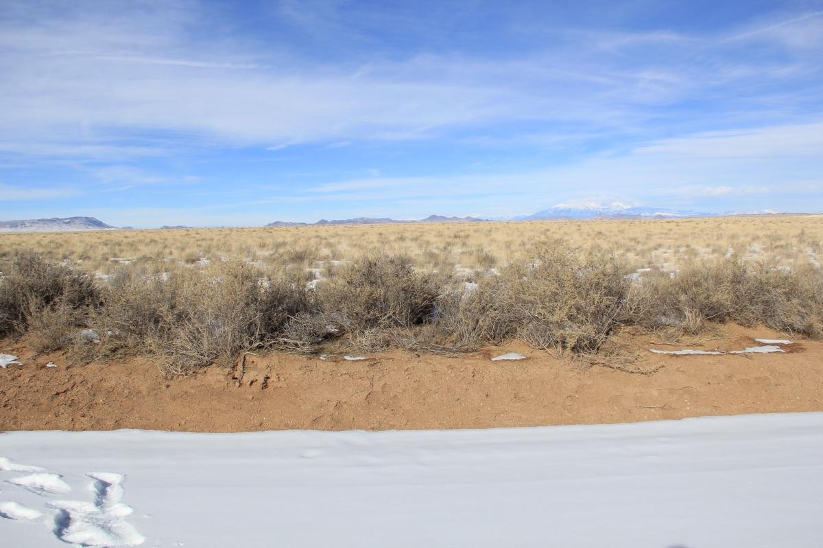 5.14 Acres for Sale in Mesita, Colorado