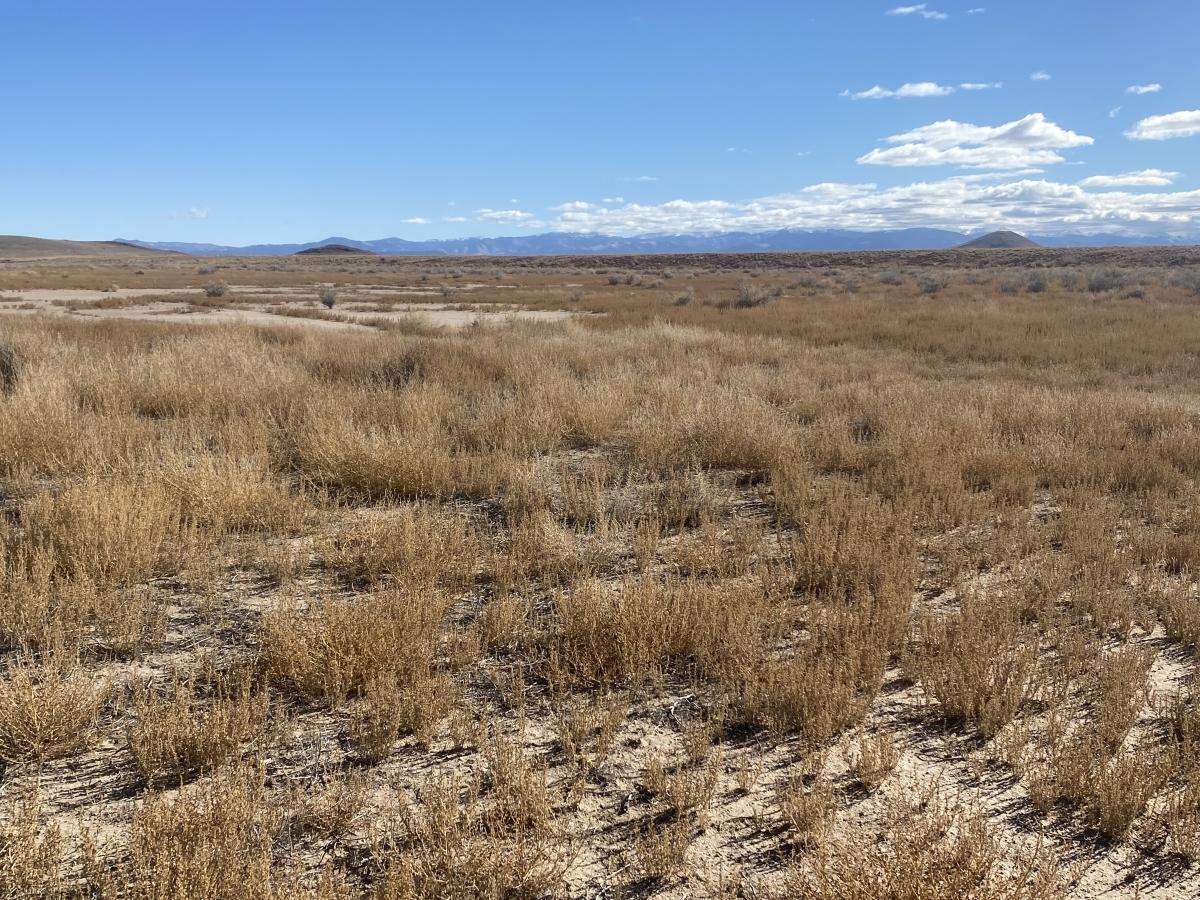 5 Acres for Sale in Blanca, Colorado