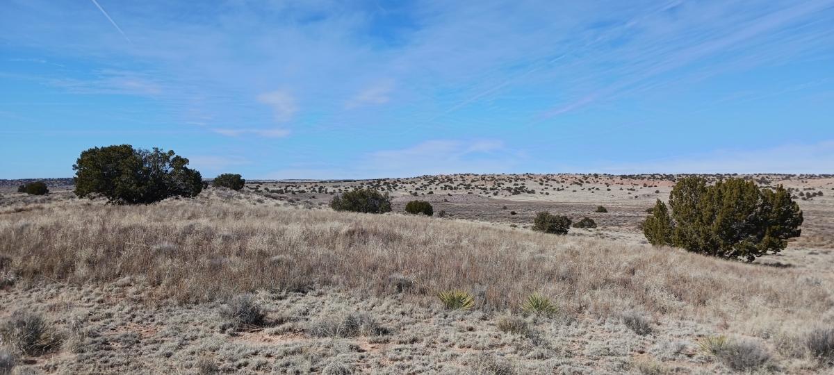 1.04 Acres for Sale in Chambers, Arizona