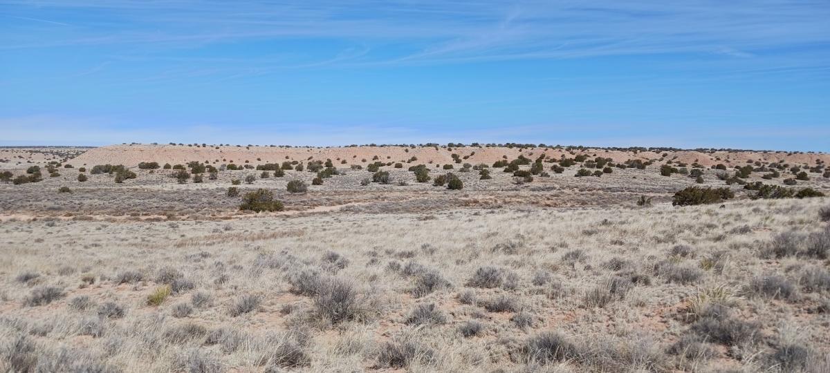 1.04 Acres for Sale in Chambers, Arizona
