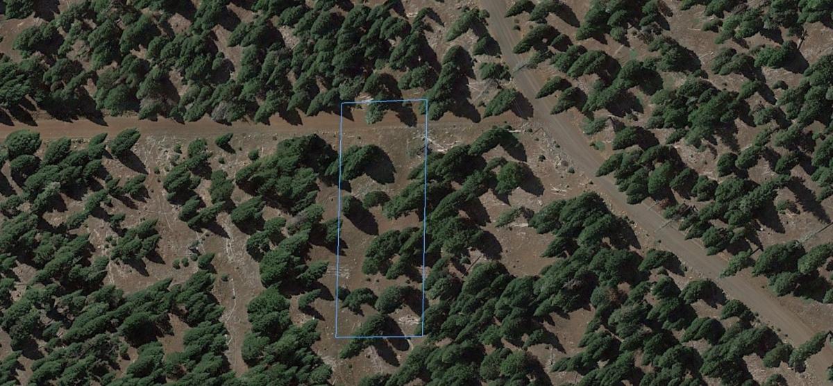 0.92 Acres for Sale in Alturas, California