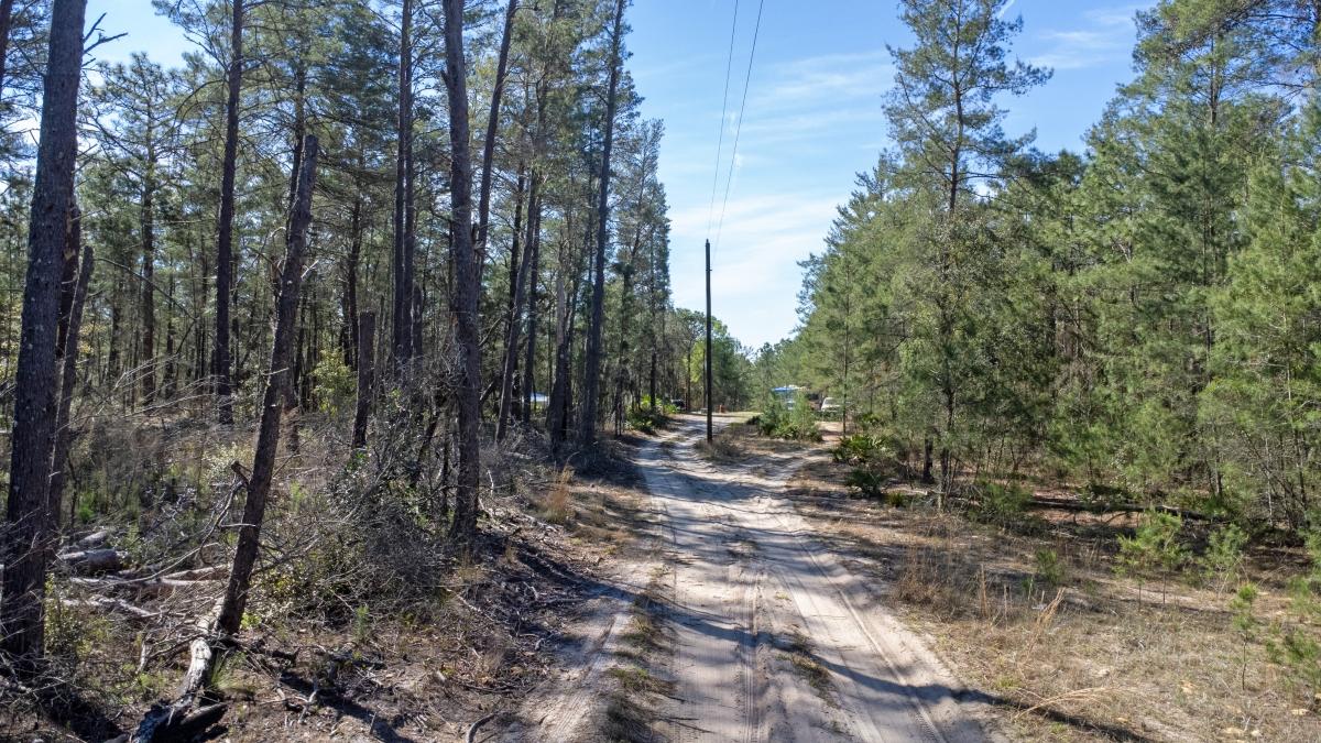 0.18 Acres for Sale in Florahome, Florida