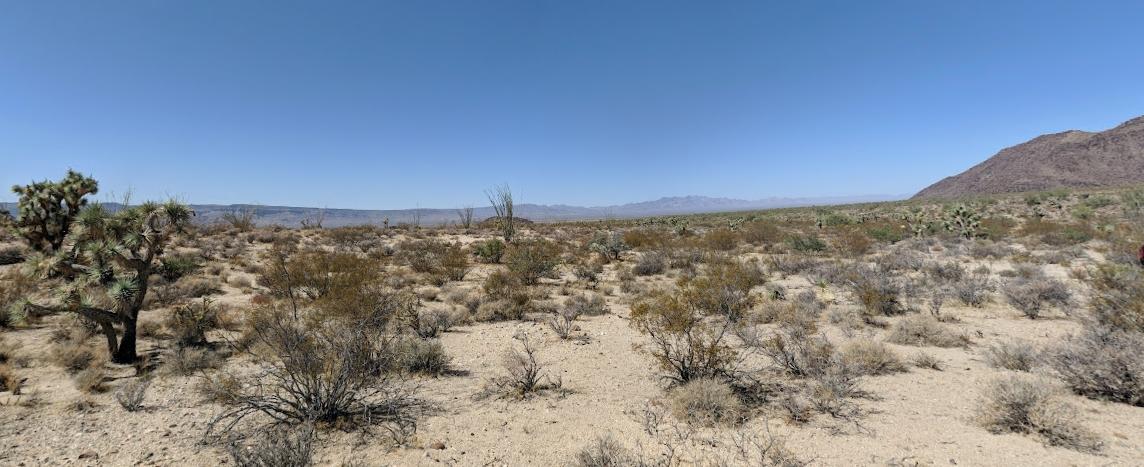 5 Acres for Sale in Yucca, Arizona