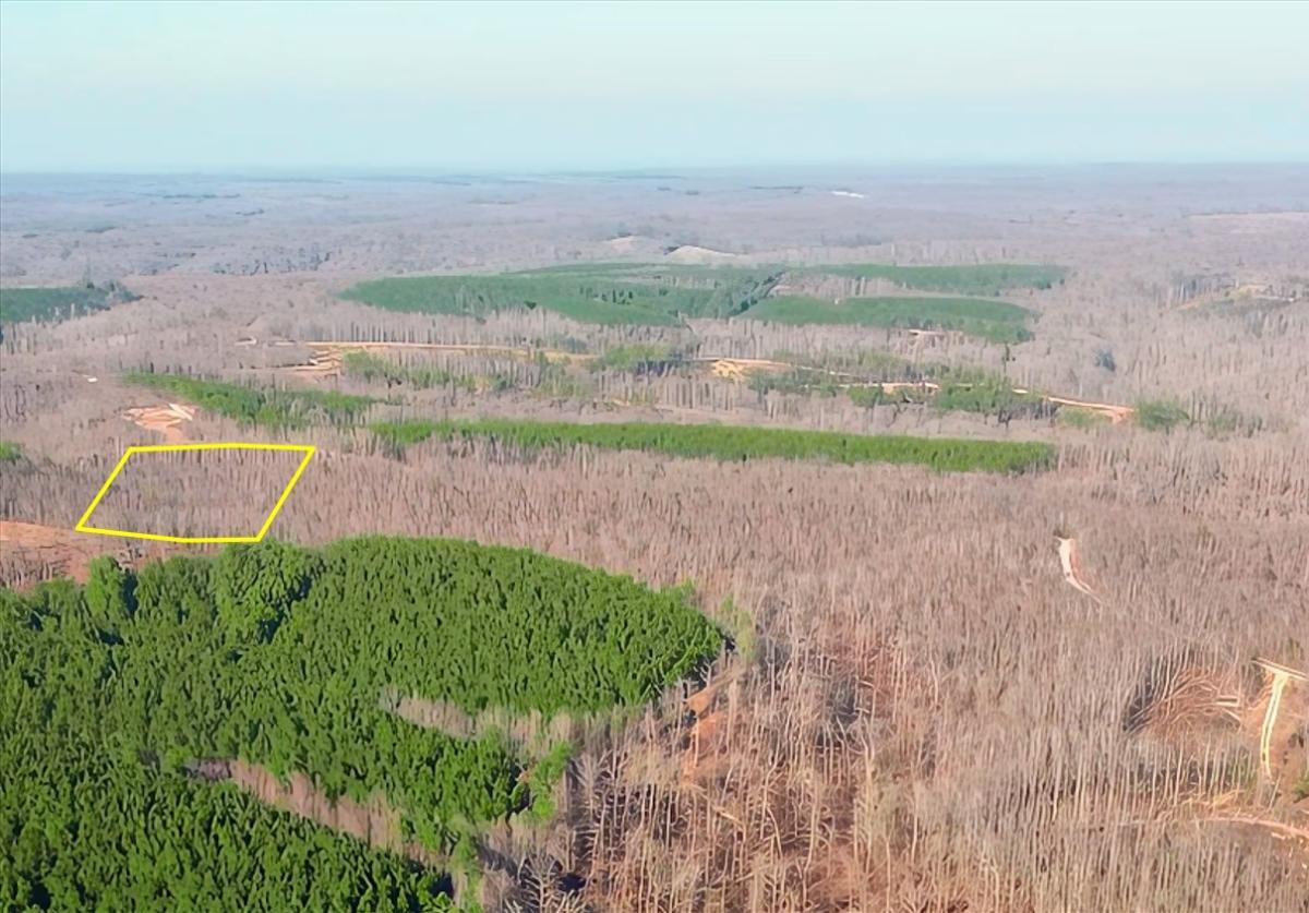 5.32 Acres for Sale in Stewart, Tennessee