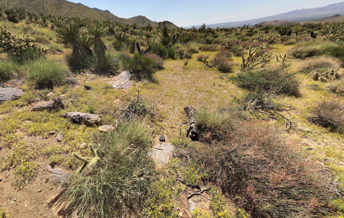 1.77 Acres for Sale in Dolan Springs, Arizona