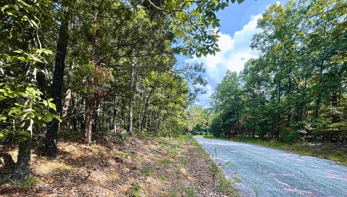 0.28 Acres for Sale in Horseshoe Bend, Arkansas