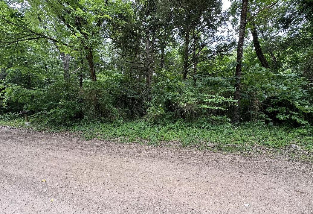 0.21 Acres for Sale in Diamond City, Arkansas
