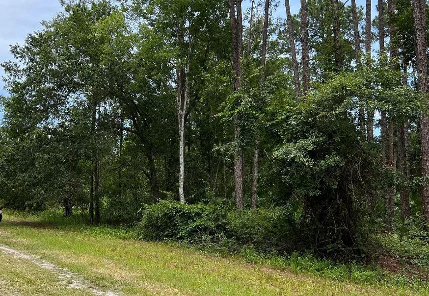 0.22 Acres for Sale in Georgetown, Florida