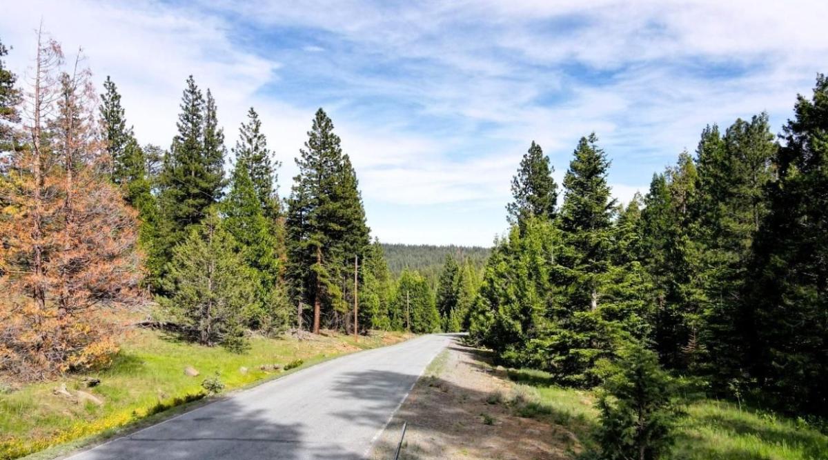 0.91 Acres for Sale in Alturas, California