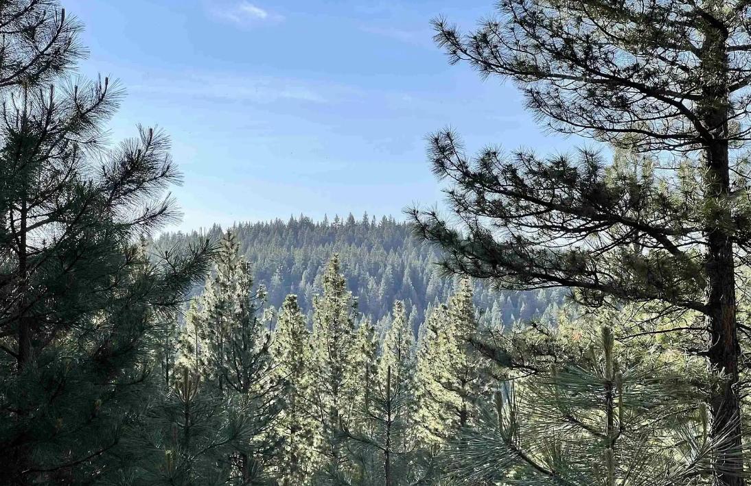 0.87 Acres for Sale in Alturas, California