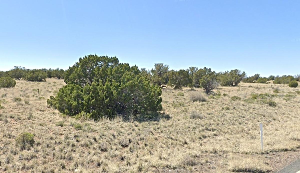 1.04 Acres for Sale in Sanders, Arizona