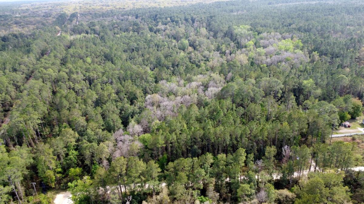 1.13 Acres for Sale in Satsuma, Florida