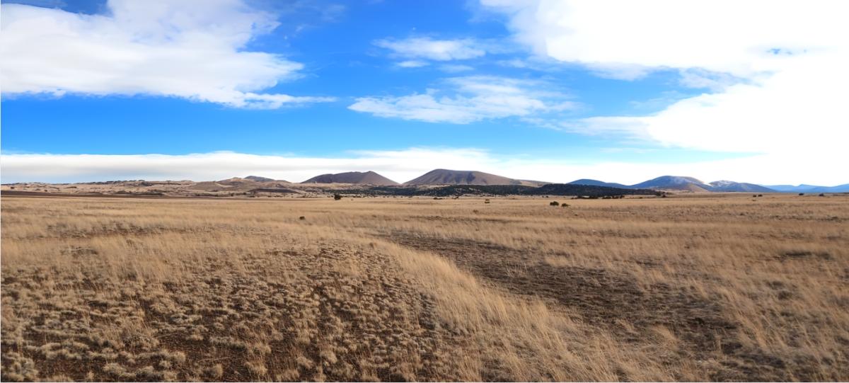 0.46 Acres for Sale in Concho, Arizona