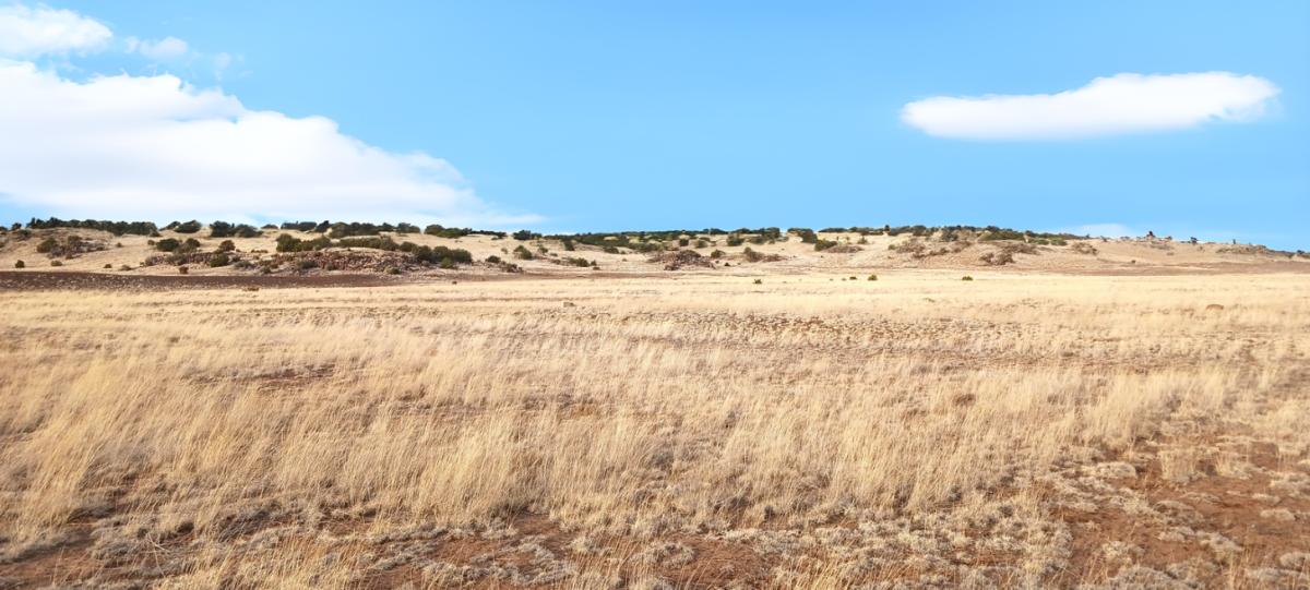 0.46 Acres for Sale in Concho, Arizona