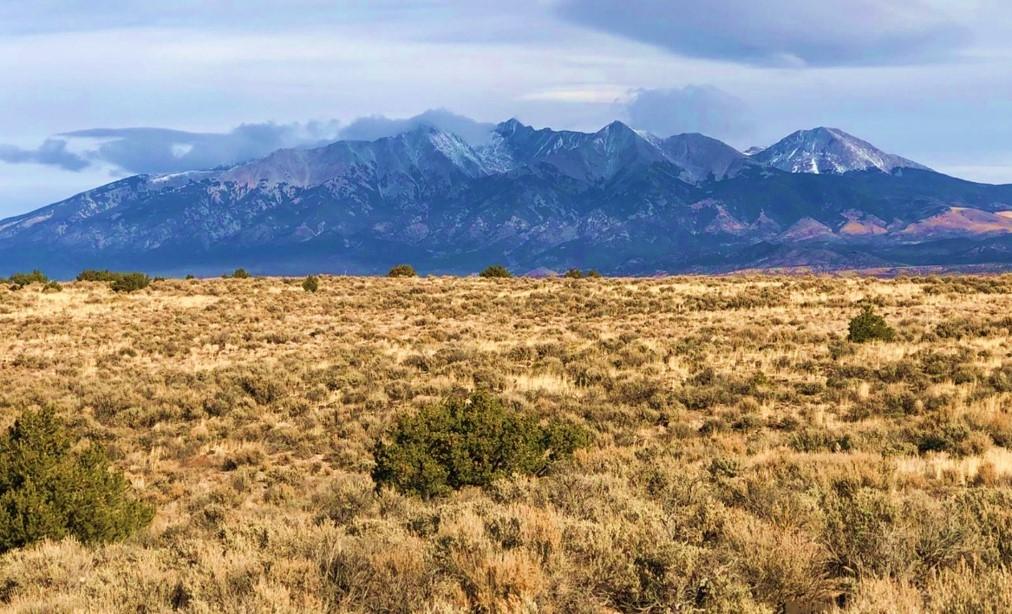 4.9 Acres for Sale in Blanca, Colorado