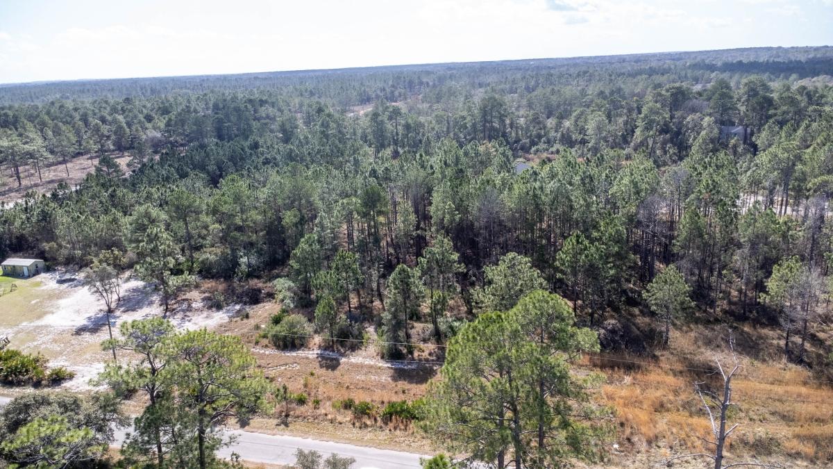 0.24 Acres for Sale in Ocklawaha, Florida