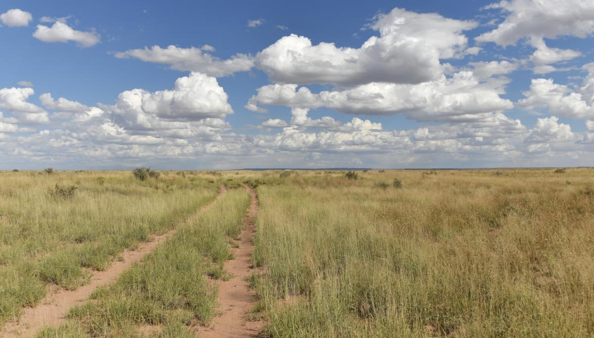 1.08 Acres for Sale in Adamana, Arizona