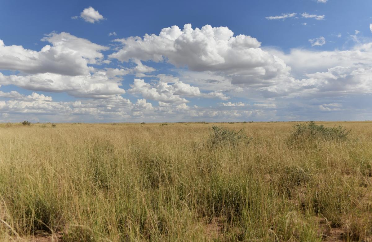 1.08 Acres for Sale in Adamana, Arizona