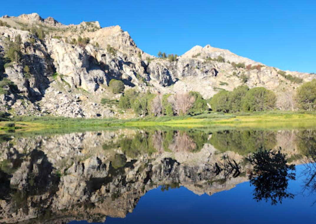 4.33 Acres for Sale in River Ranch, Nevada