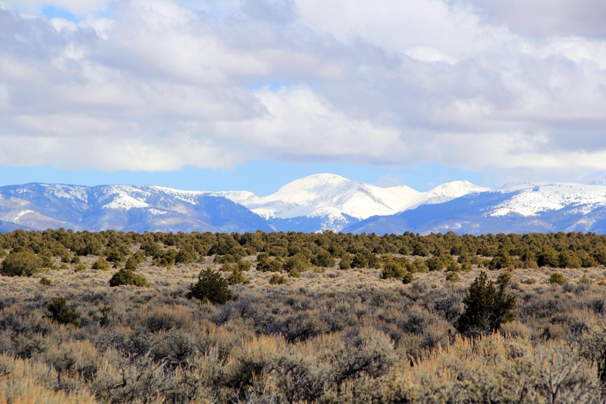 2.53 Acres for Sale in San Pablo, Colorado
