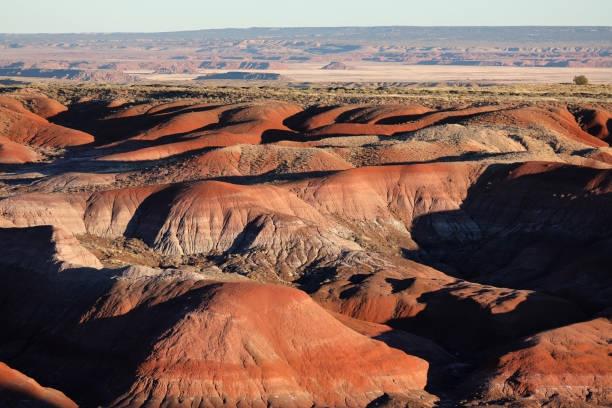 1.04 Acres for Sale in Sanders, Arizona