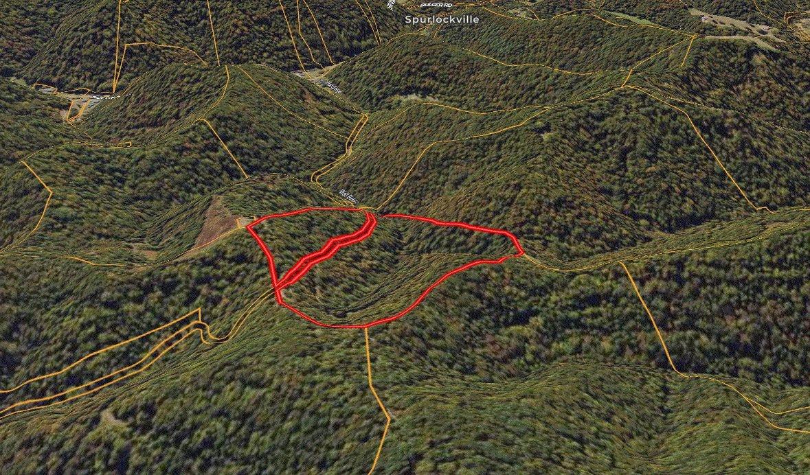 30.00 Acres for Sale in Alkol, West Virginia
