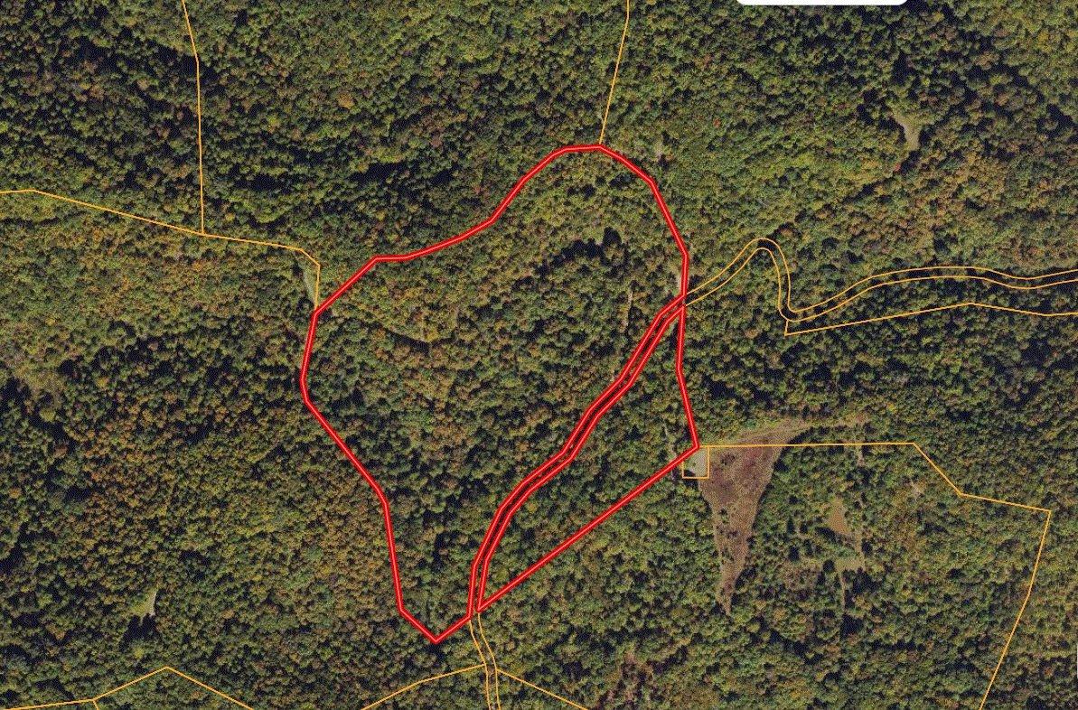 30.00 Acres for Sale in Alkol, West Virginia