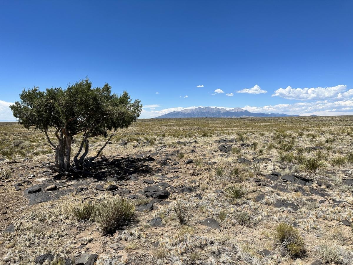 7 Acres for Sale in San Luis, Colorado