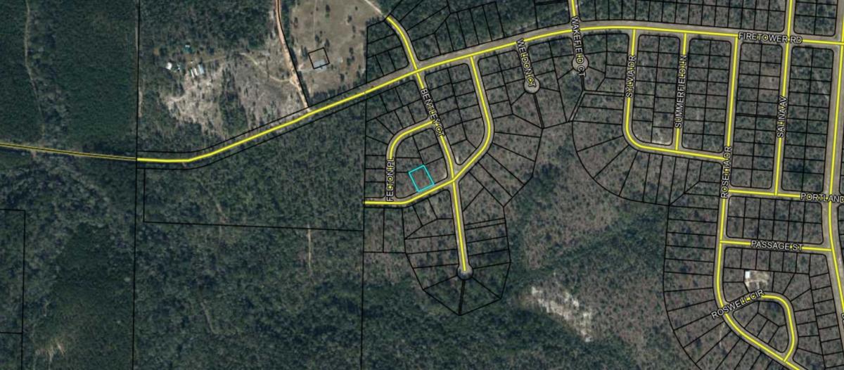 0.30 Acres for Sale in Wausau, Florida