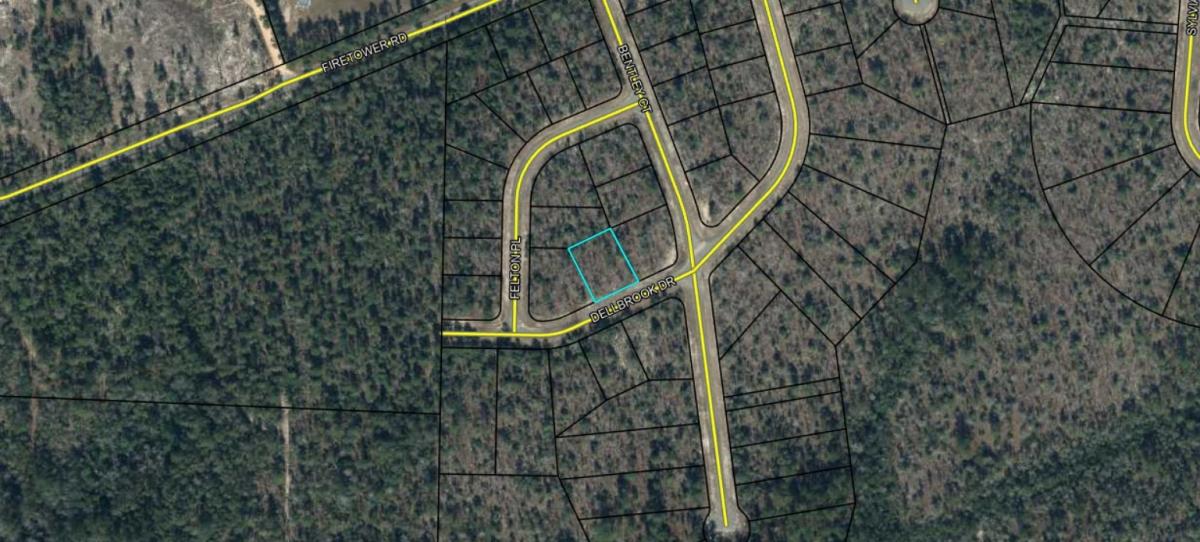 0.30 Acres for Sale in Wausau, Florida