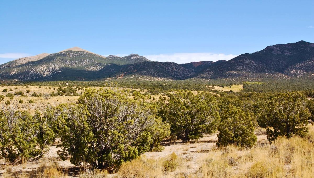 9.96 Acres for Sale in Montello, Nevada