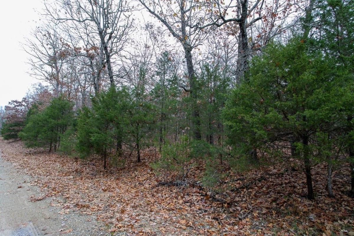 0.33 Acres for Sale in Horseshoe Bend, Arkansas