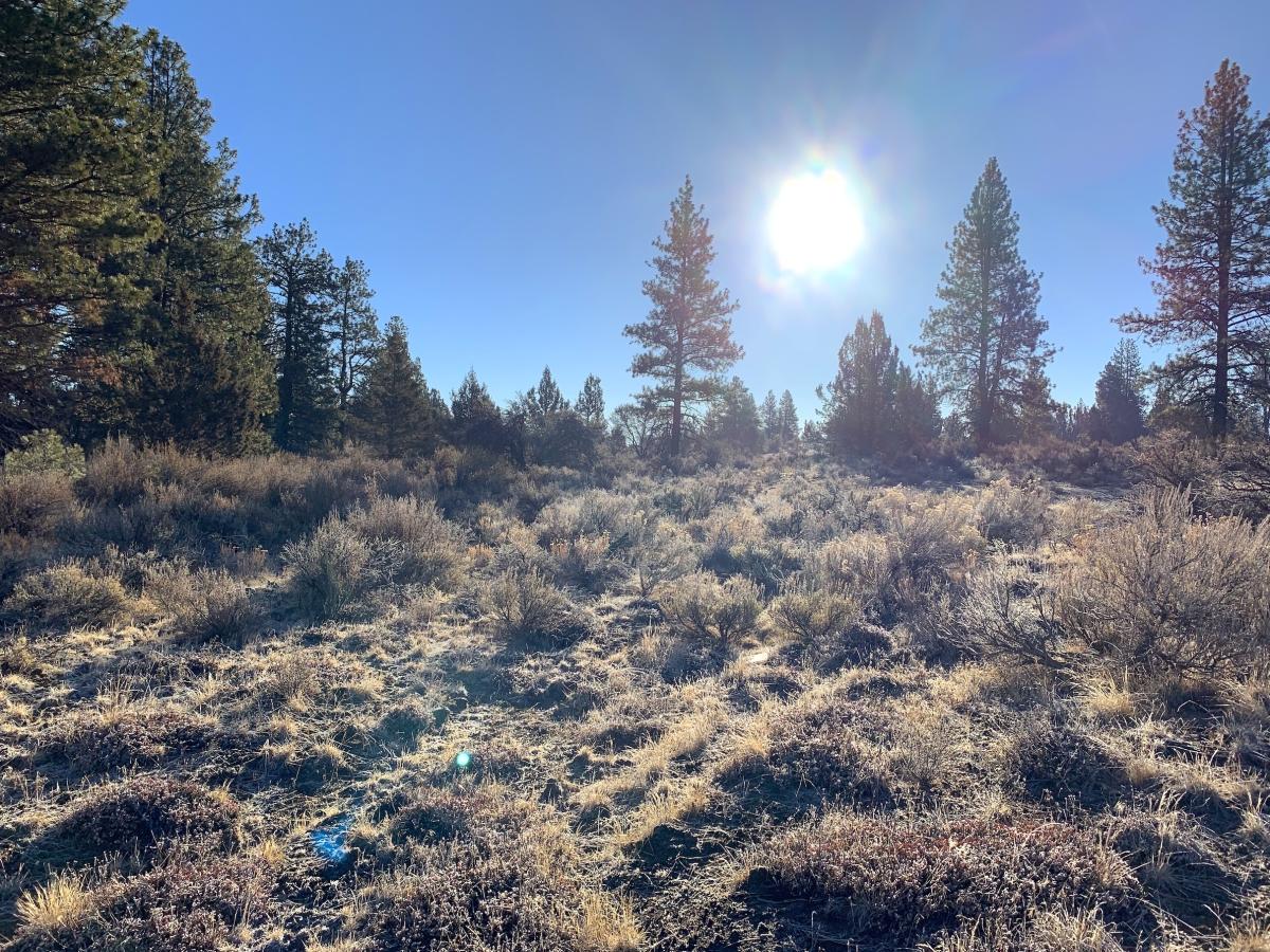 2.4 Acres for Sale in Sprague River, Oregon